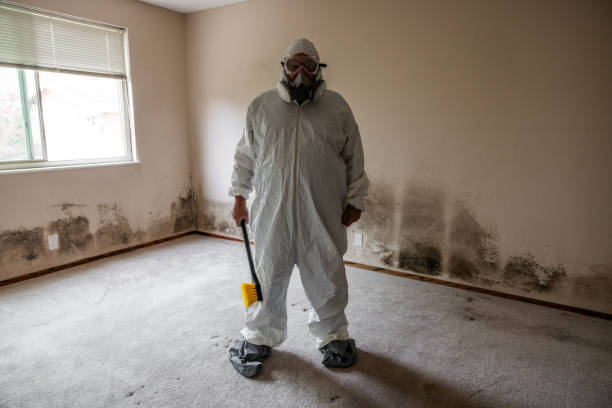 Best Office Mold Removal Services  in Alliae, NC